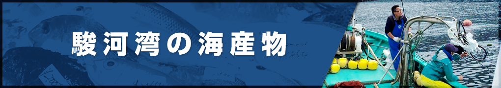 駿河湾の海産物