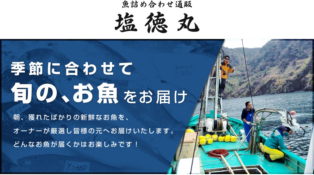 駿河湾の鮮魚セット 魚詰め合わせ通販なら | 塩徳丸