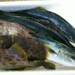 魚詰め合わせセット　5000円