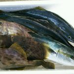 鮮魚詰め合わせセット　3000円